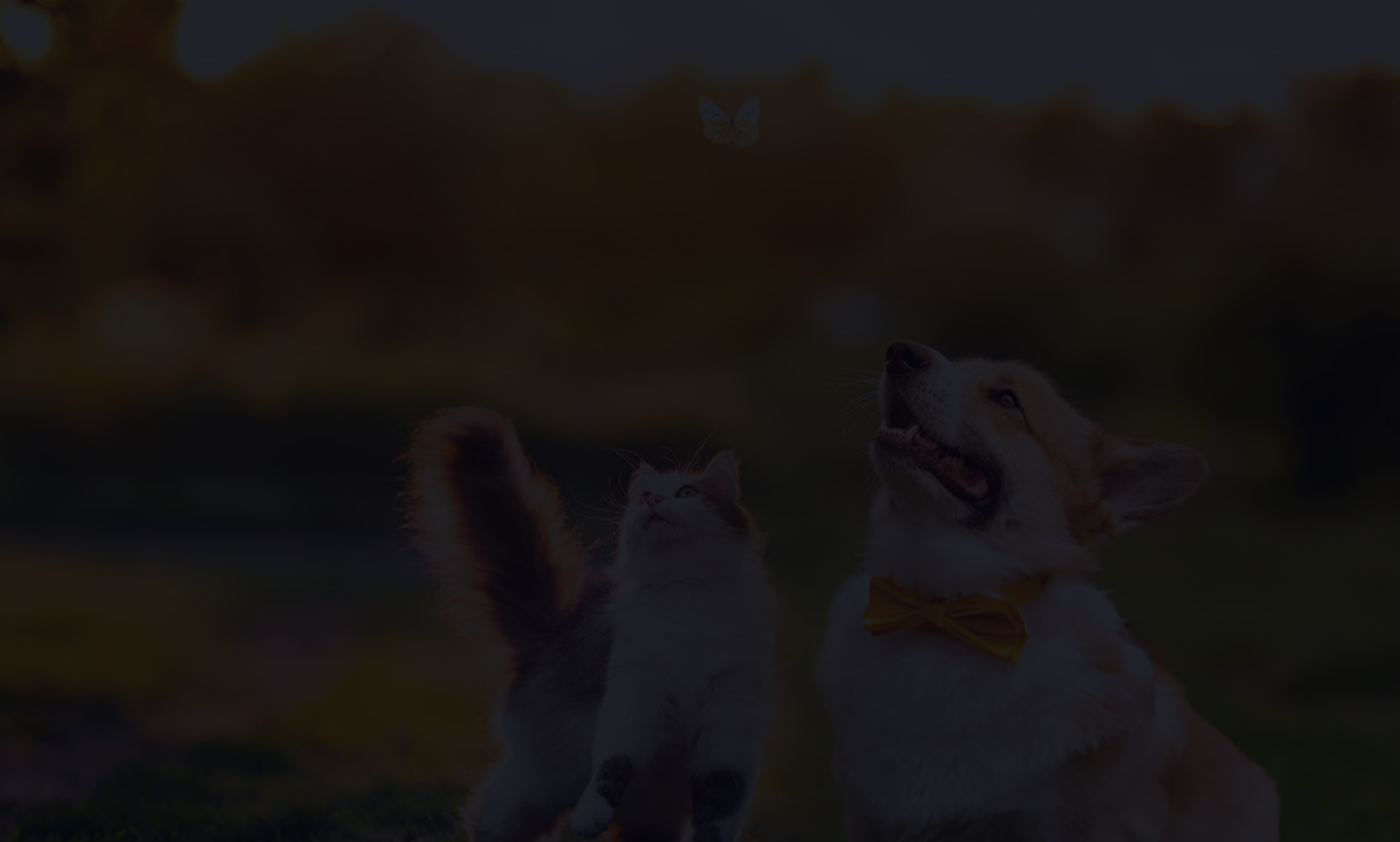 LeadBridge hero banner