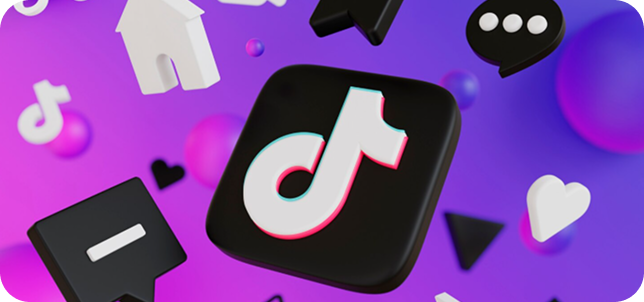TikTok Ads Management